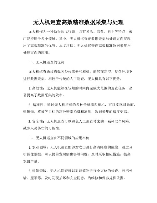 无人机巡查高效精准数据采集与处理