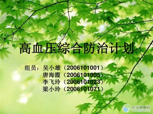 高血压综合防治计划