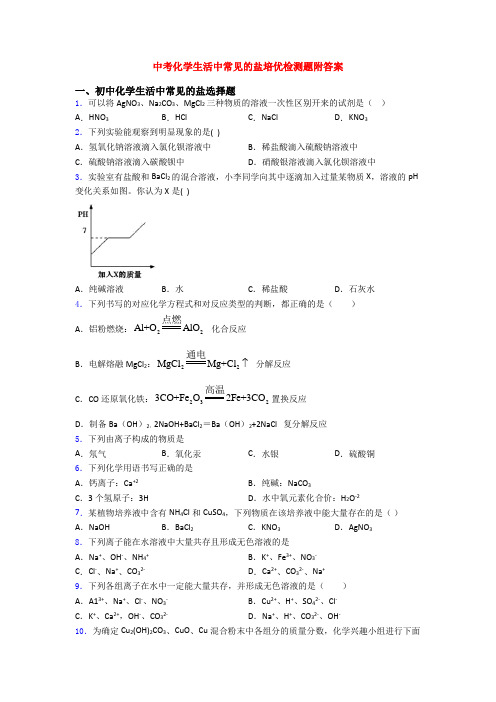 中考化学生活中常见的盐培优检测题附答案