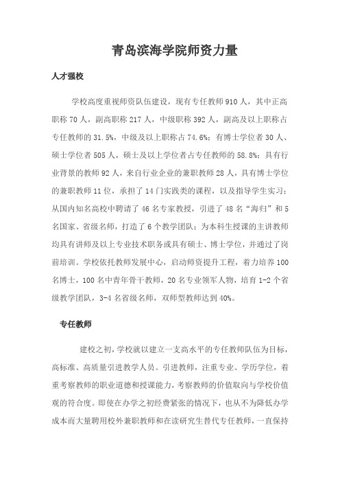 滨海学院师资