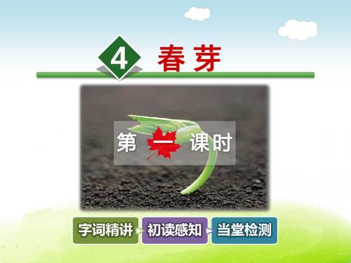 春芽PPT课件最新3下长春版第4课
