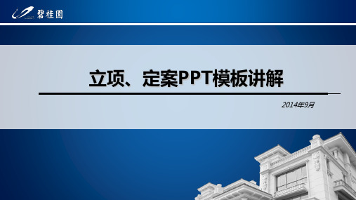 项目立项、定案PPt模板讲解