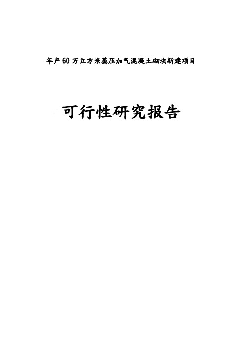 年产60万立方米蒸压加气混凝土砌块新建项目可行性实施计划书