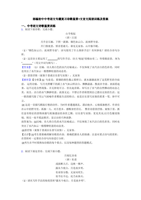 部编初中中考语文专题复习诗歌鉴赏+文言文阅读训练及答案 (3)