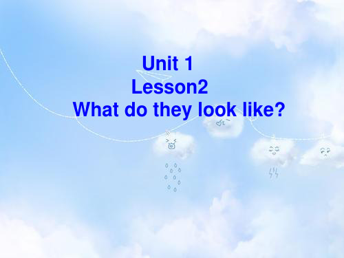 北师大初中英语七上《Unit 1 Family》PPT课件Lesson 2 What Do They Look Like6