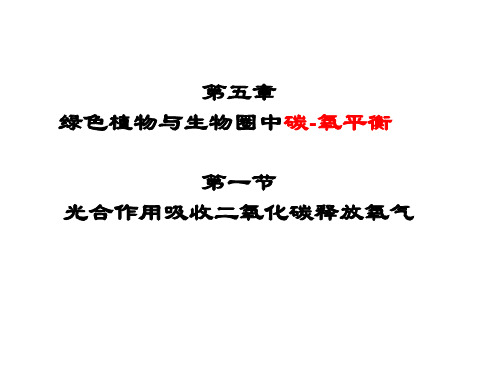 第三单元第五章第一节光合作用吸收二氧化碳释放氧气课件2021--2022学年人教版七年级上册