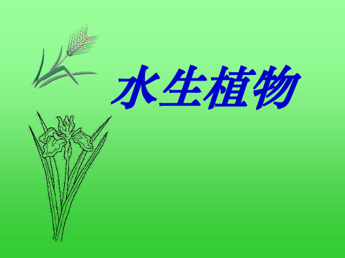 教科版三年级科学上册 (水生植物)植物新课件教学用