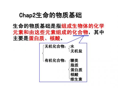 生命的物质基础