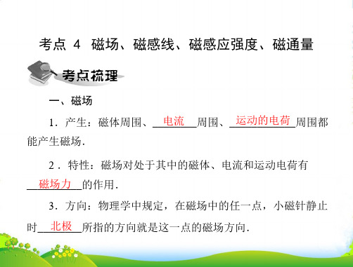 高中物理学业水平测试 专题六 考点4 磁场、磁感线、磁感应强度、磁通量配套课件