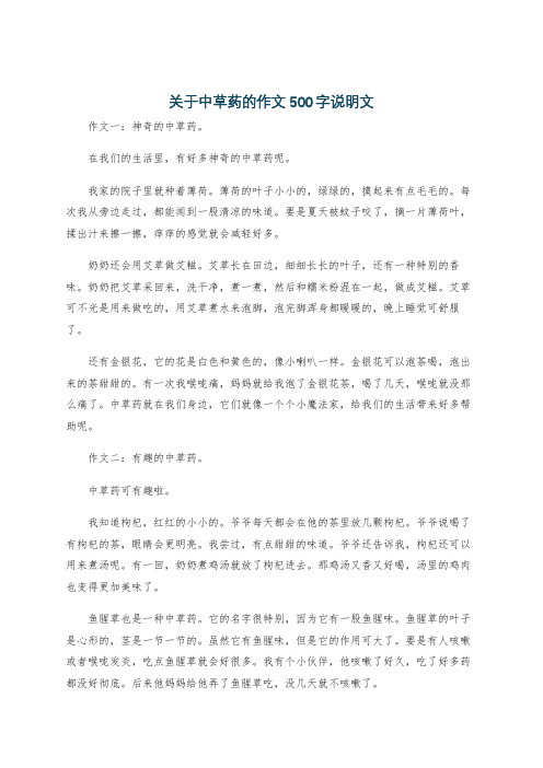 关于中草药的作文500字说明文