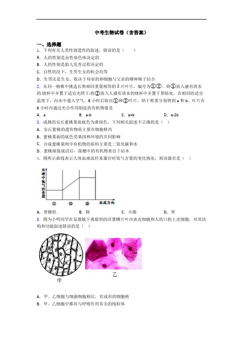 中考生物试卷(含答案)