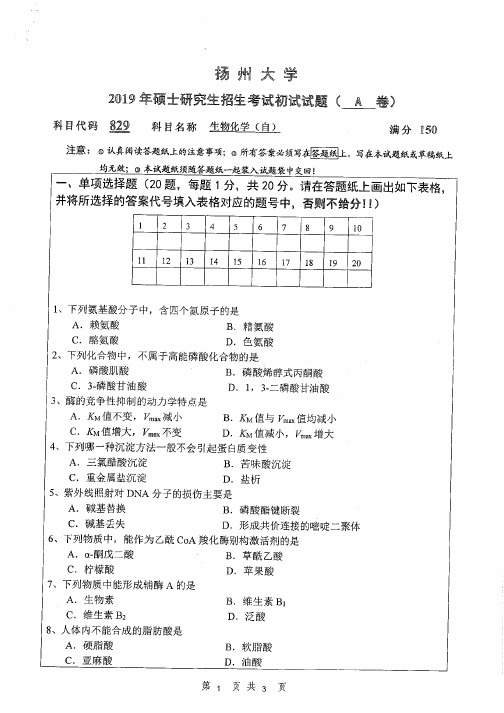 扬州大学829生物化学(自)专业课考研真题(2019年)