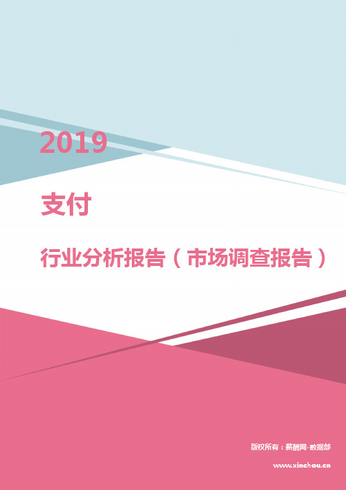 2019年支付行业分析报告(市场调查报告)