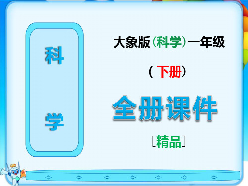 大象版科学一年级下册全册完整课件【免费】