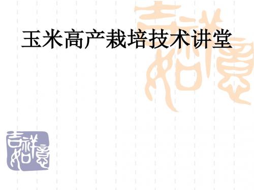 玉米高产栽培技术 25页PPT文档