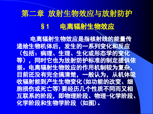 第二章、放射生物效应与放射防护