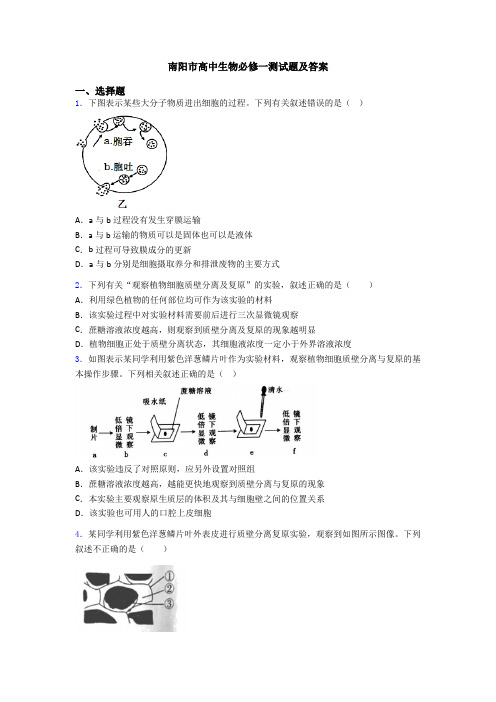 南阳市高中生物必修一测试题及答案