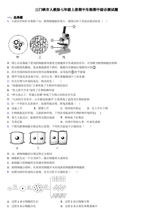 三门峡市人教版七年级上册期中生物期中综合测试题