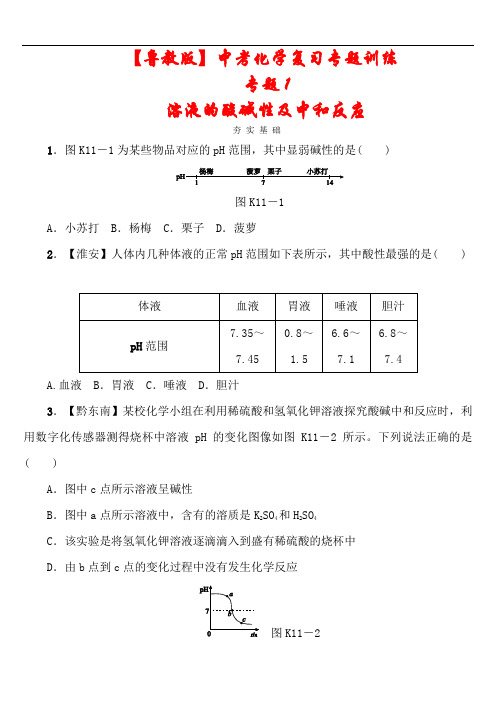 【鲁教版】2021中考化学复习专题《溶液的酸碱性及中和反应》(含答案)