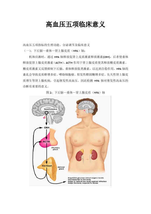 高血压五项临床意义