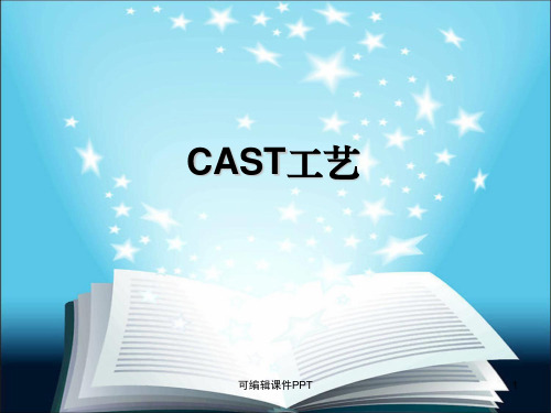 CAST工艺ppt课件