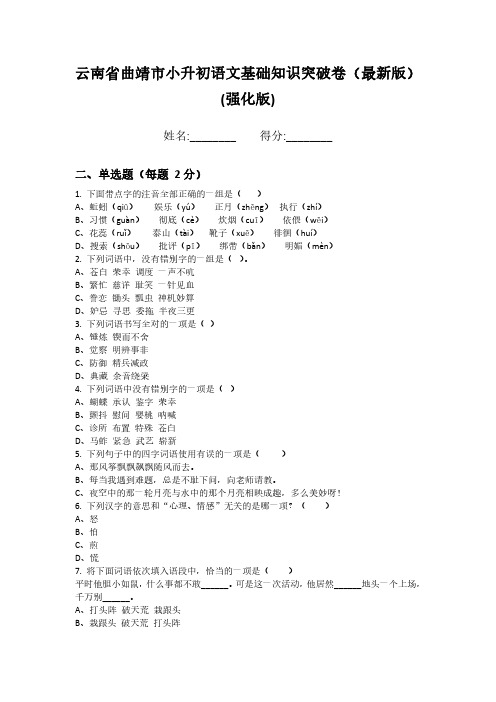 云南省曲靖市小升初语文基础知识突破卷(最新版)(强化版)