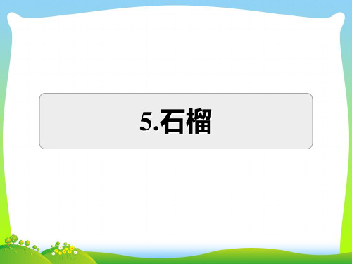 三年级语文上册第5单元16石榴习题课件2苏教版