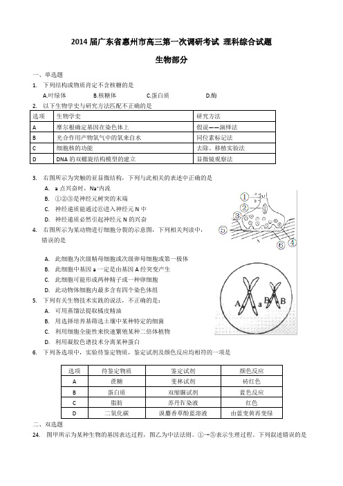 广东省惠州市2014届高三第一次调研考试理综试题