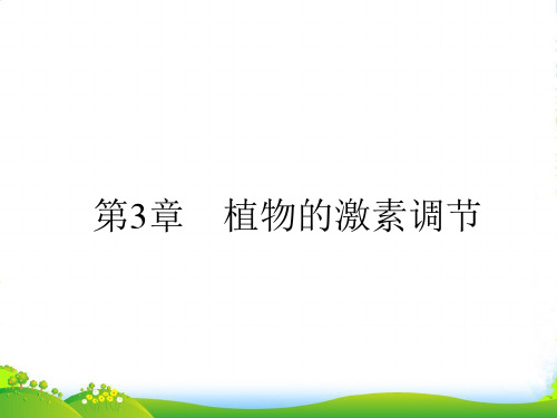 【全优设计】高考生物一轮复习 第3章 植物的激素调节课件 新人教必修3 