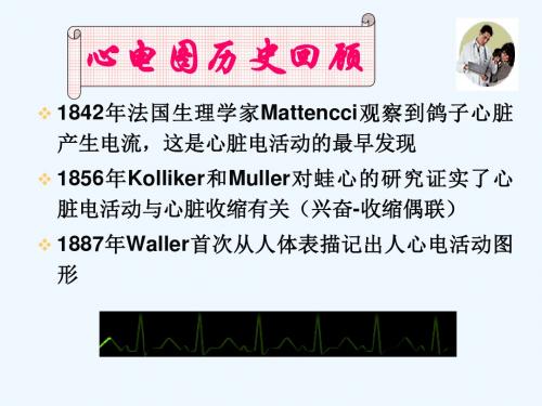 心电图-基础知识