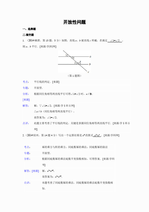 2014年全国各地中考数学真题分类解析汇编：41 开放性问题