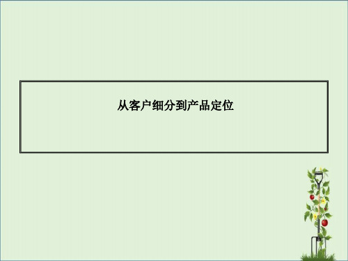 从客户细分到产品定位