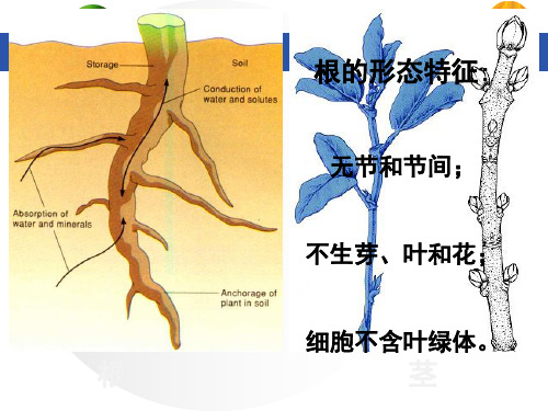 4第三章 根