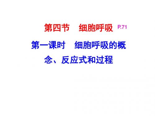 浙科版高中生物必修一第三章第四节第一课时 细胞呼吸的概念、反应式和过程