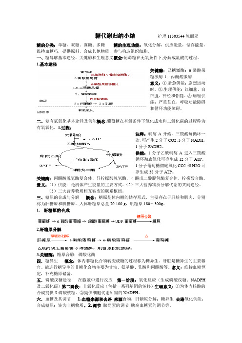 糖代谢归纳小结        护理11303544