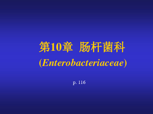 医学微生物学10.肠道细菌