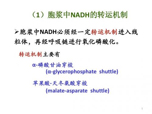 重要穿梭机制汇总