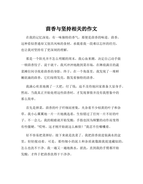 茴香与坚持相关的作文