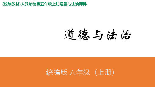 部编版六年级上册道德与法治 -2宪法是根本法 ppt课件