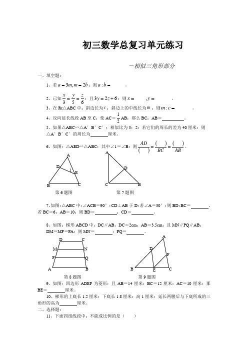 2021年初三数学总复习单元练习相似三角形