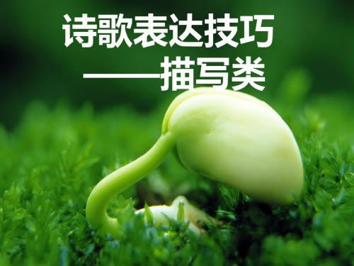 表达技巧之描写类
