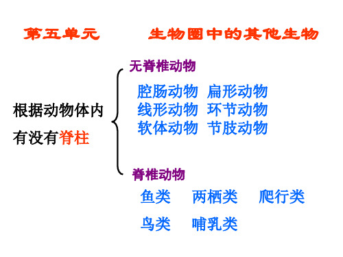 鲁科版五四制生物八上八年级生物上册总复习课件