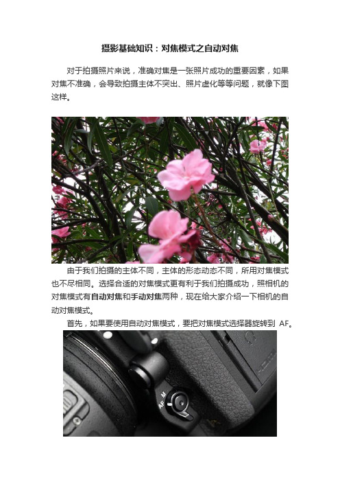 摄影基础知识：对焦模式之自动对焦