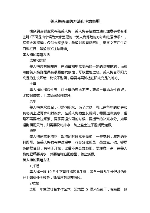 美人梅养殖的方法和注意事项