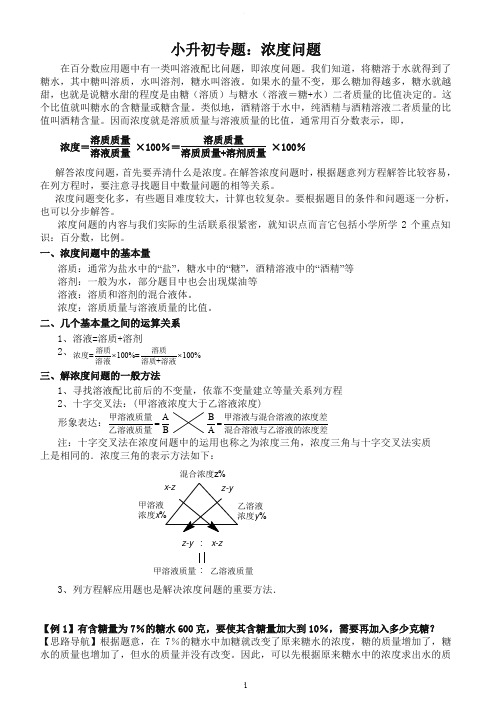 小学数学浓度问题