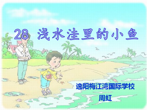 二年级语文上《识字728 浅水洼里的小鱼》368PPT课件 一等奖名师公开课比赛优质课评比试讲