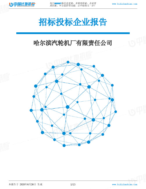 哈尔滨汽轮机厂有限责任公司-招投标数据分析报告