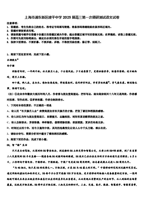 上海市浦东新区建平中学2025届高三第一次调研测试语文试卷含解析