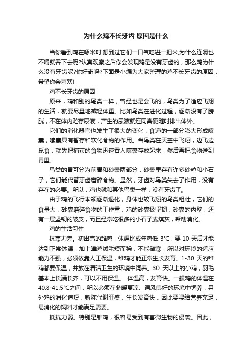 为什么鸡不长牙齿原因是什么