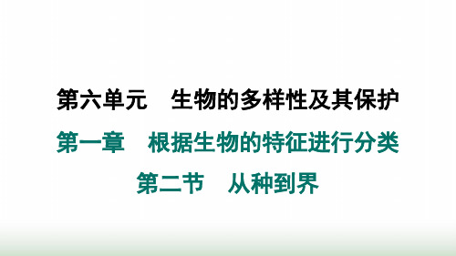 人教版八年级生物上册第六单元第一章根据生物的特征进行分类第二节从种到界课件